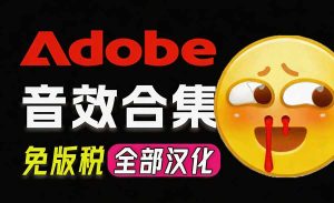 请称爆硬盘!Adobe 和 达芬奇 官方提供的高品质免版税音效库, 10000+ 免费商用音效合集,已离线打包-KJ分享