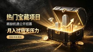 稀缺宝藏项目公开招募，低风险入局解锁月入过1W+机会【揭秘】-KJ分享