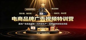 电商品牌广告视频特训:直效广告底层逻辑,AI内容生产,品牌接单变现全流程-KJ分享