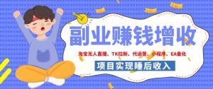 2026年多个真实落地副业项目，手把手带你搭建被动收入管道(淘宝无人直播、海外TK拉新、最新最全代运营、CSGO饰品交易、EA黄金量化、去水印小程序……)【揭秘】-KJ分享