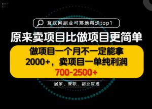 一单利润700-2.5K+,为什么我们要卖项目而不是做项目,我们普通人应该怎样开始?【揭秘】-KJ分享