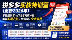 拼多多实战特训营(更新0915-KJ分享