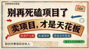 做项目不如卖项目,做知识付费自己当老板,普通人死磕项目賺钱,聪明人贩卖项目认知賺钱【揭秘】-KJ分享