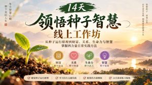 14天领悟种子智慧线上工作坊｜从种子运行原理到财富、关系、生命力与智慧，掌握四力量日常实践方法-KJ分享