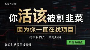 做项目不如卖项目，做知识付费自己当老板，知识付费顶层操盘课，听懂就翻盘【揭秘】-KJ分享