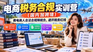 电商税务合规实训营(国内加跨境)，教电商人合法合规降税负，避开税务红线-KJ分享