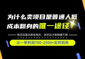 普通人如何靠互联网賺取自己的第一桶金!全类目实操型教学,看完你全都懂了!【揭秘】-KJ分享